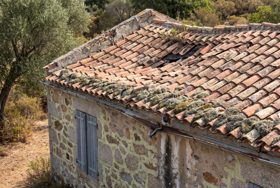 Toiture ancienne dégradée avant rénovation : tuiles déplacées et faîtage abîmé