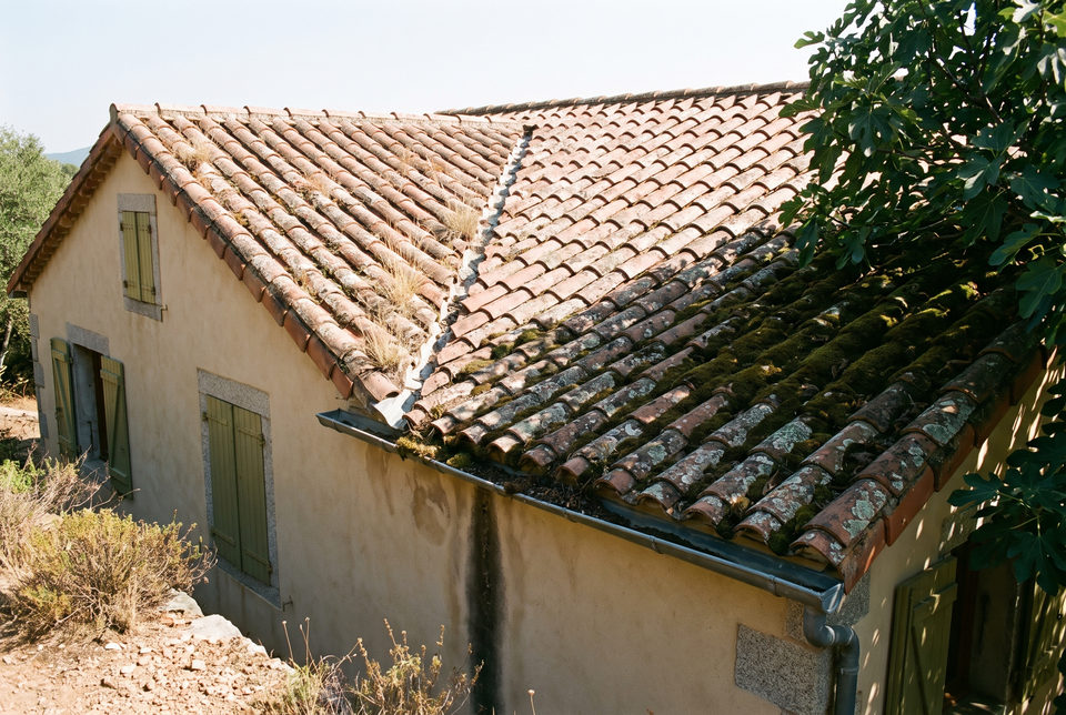 Toiture envahie par la mousse et le lichen avant démoussage